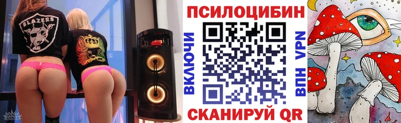 как найти закладки  нарко площадка какой сайт  Псилоцибиновые грибы прущие грибы  Тихвин  мега зеркало 